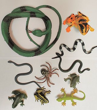 IMG_20250912_154645798